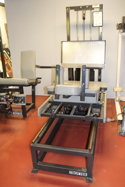 277a - Trotter Leg Press from Dwight's Private Gym